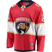 Load image into Gallery viewer, Mark Pysyk Florida Panthers Player Swingman Jersey
