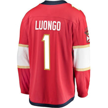 Load image into Gallery viewer, Roberto Luongo Florida Panthers Player Swingman Jersey