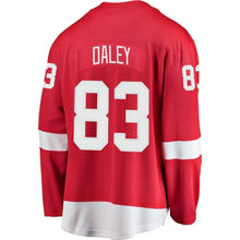 Load image into Gallery viewer, Trevor Daley Detroit Red Wings Player Swingman Jersey
