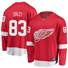 Load image into Gallery viewer, Trevor Daley Detroit Red Wings Player Swingman Jersey